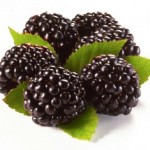 blackberries --- Image by © Murtin/photocuisine/Corbis